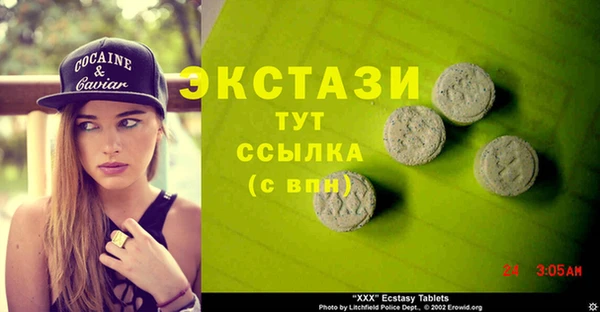 индика Верхний Тагил