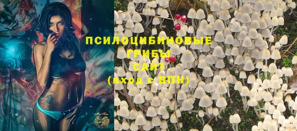 винт Бугульма