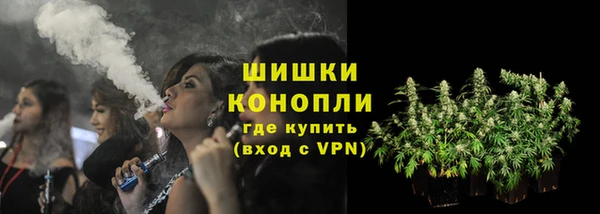 индика Верхний Тагил