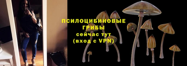 индика Верхний Тагил