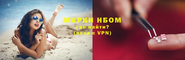 индика Верхний Тагил