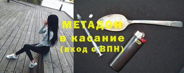 индика Верхний Тагил