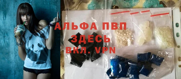 индика Верхний Тагил