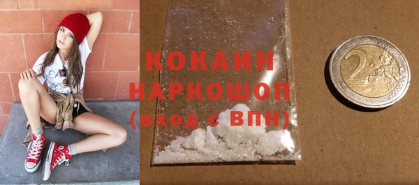 индика Верхний Тагил