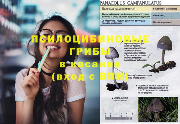 PSILOCYBIN Протвино