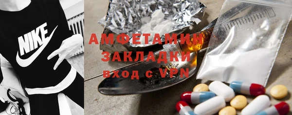 индика Верхний Тагил