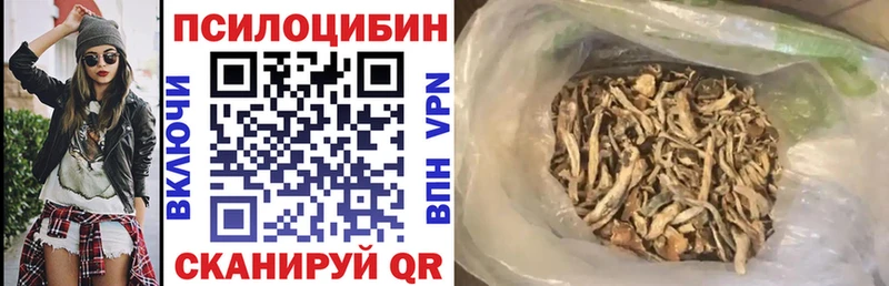 omg tor Лукоянов Псилоцибиновые грибы мицелий